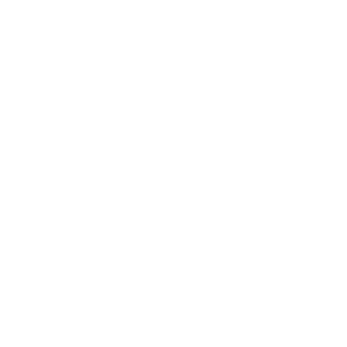 Bloom Church | Client